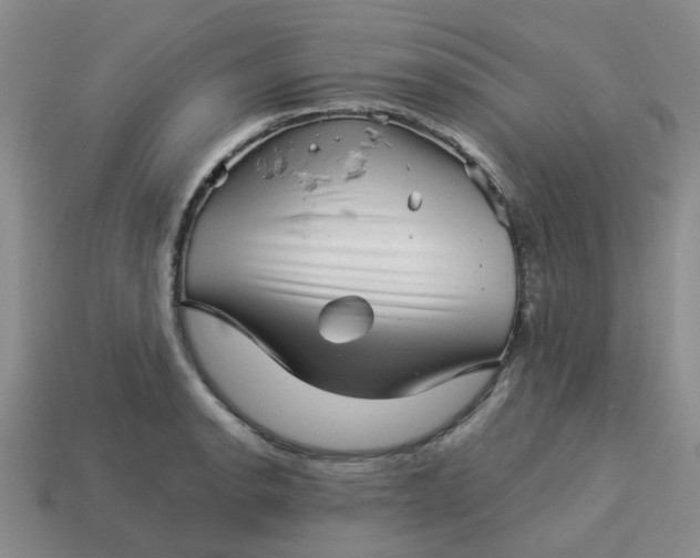 X0000113991134200910161641