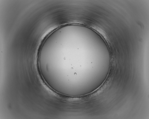 X0000113991135200910161641