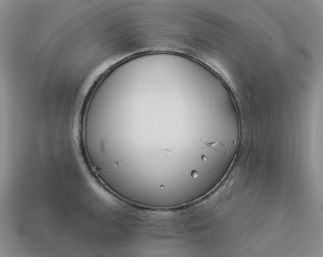 X0000113991136200910161641