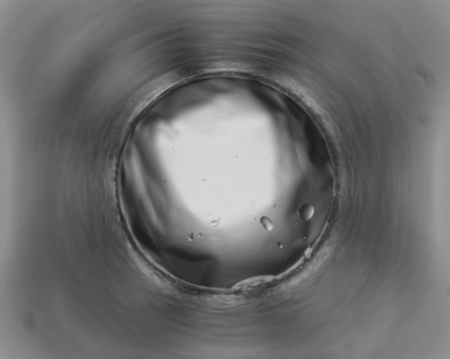 X0000113991137200910161641