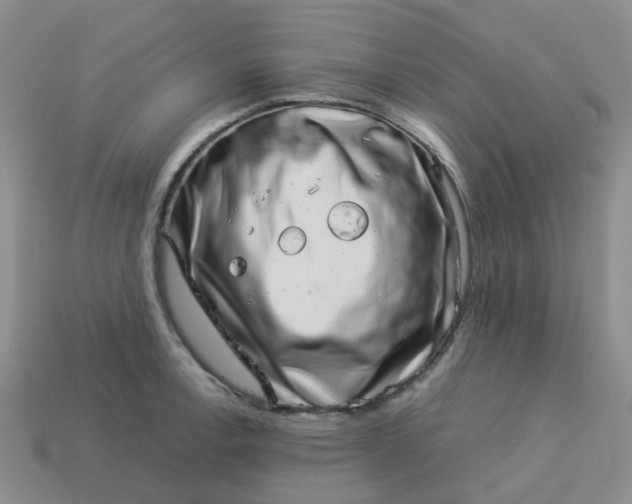 X0000113991138200910161641