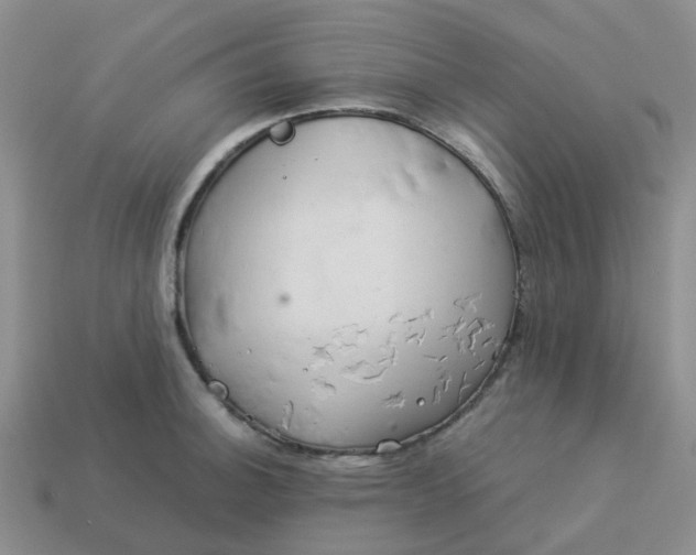 X0000113991140200910161641