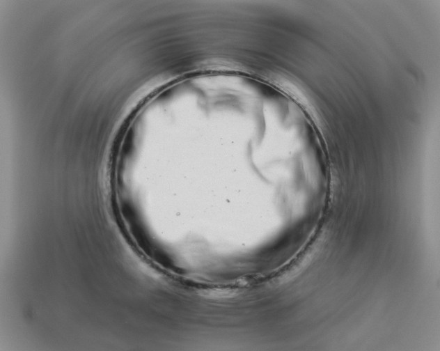 X0000113991141200910161641