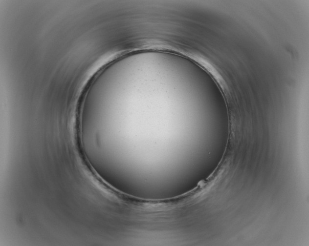 X0000113991142200910161641