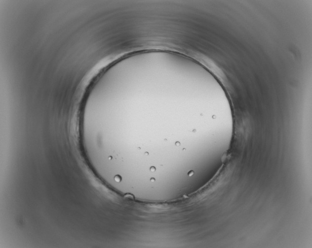 X0000113991144200910161641