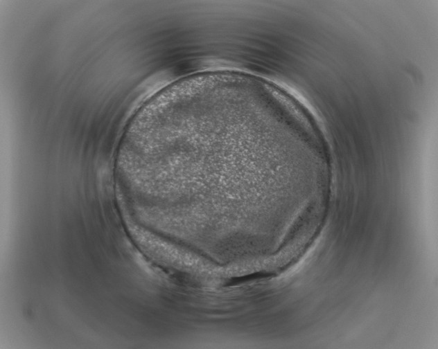 X0000113991145200910161641