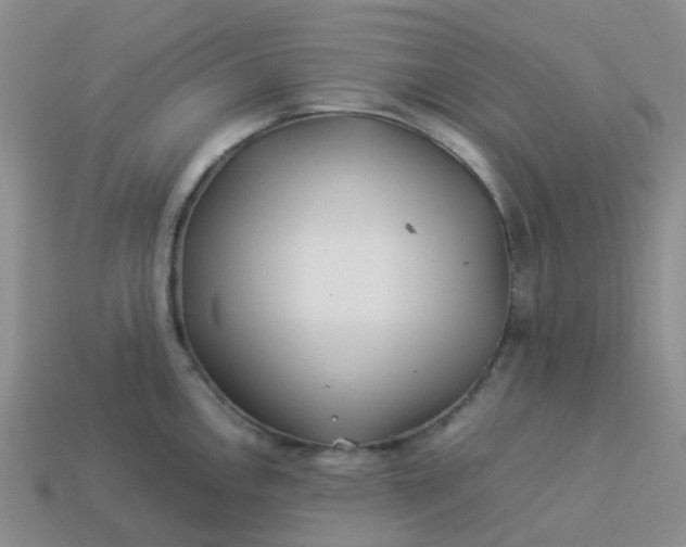 X0000113991146200910161641