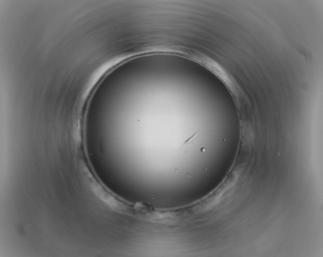 X0000113991148200910161641