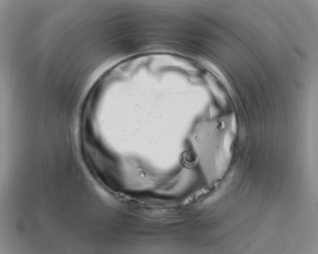 X0000113991149200910161641