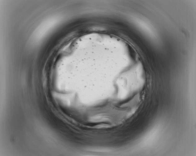 X0000113991151200910161641