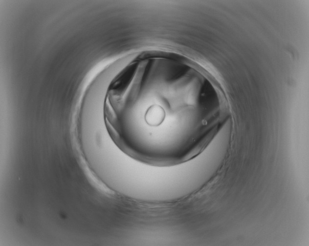 X0000113991152200910161641