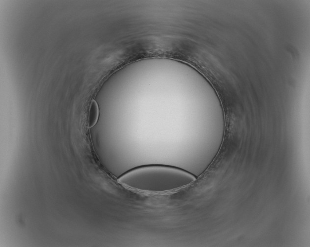 X0000113991153200910161640