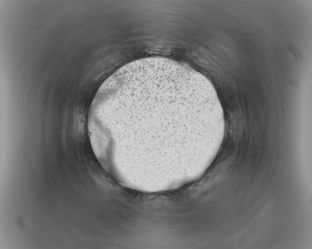 X0000113991154200910161640