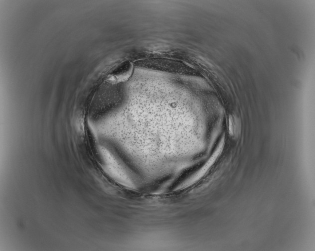 X0000113991155200910161640