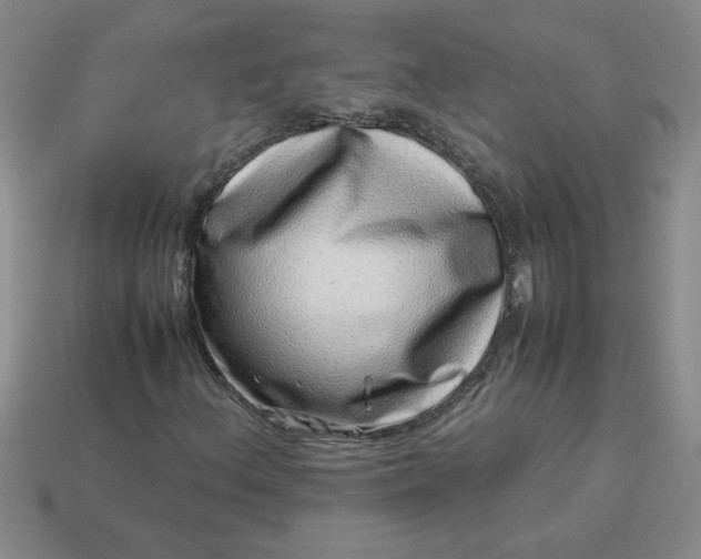 X0000113991156200910161640