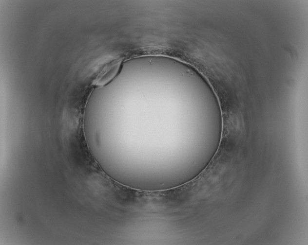 X0000113991157200910161640