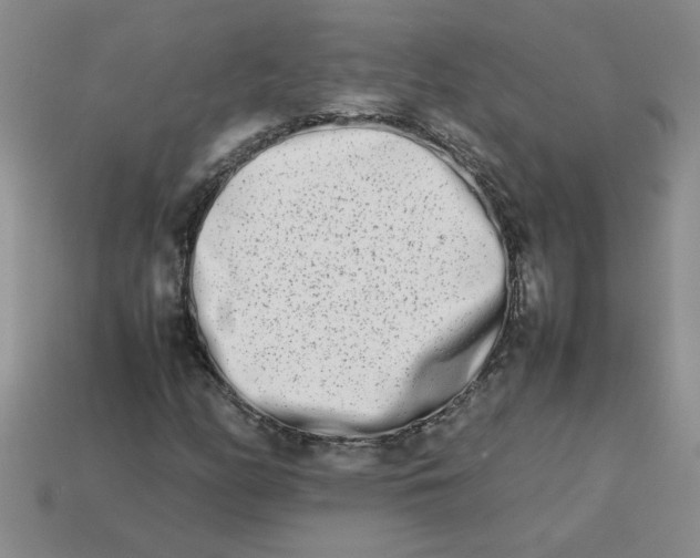 X0000113991158200910161640