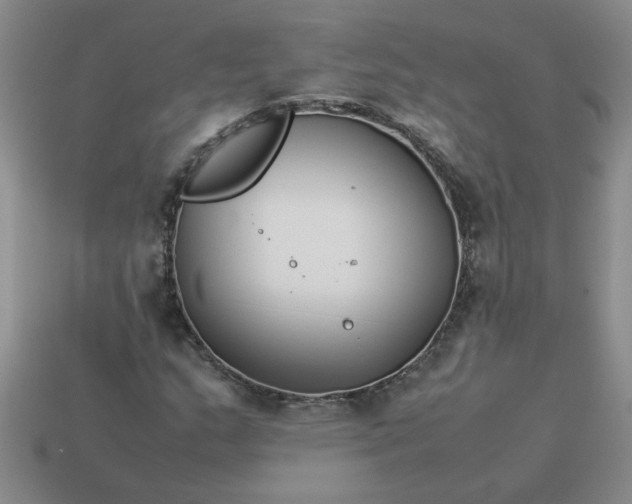 X0000113991159200910161640