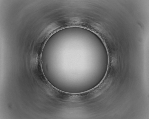 X0000113991161200910161640