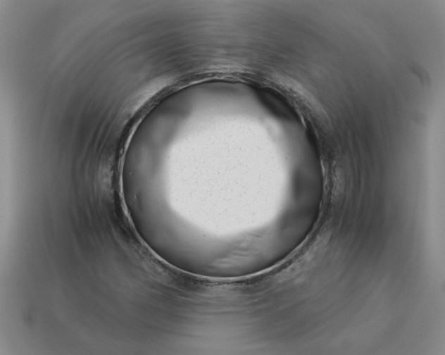 X0000113991162200910161640