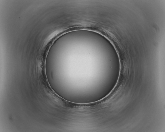 X0000113991163200910161640