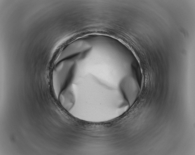 X0000113991164200910161640