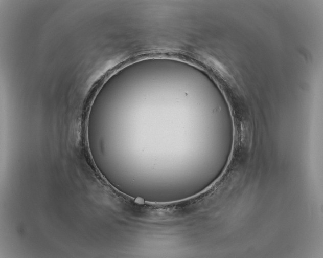 X0000113991165200910161640