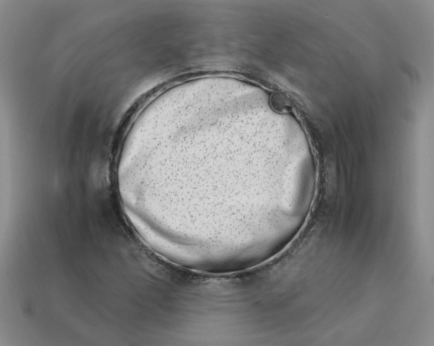 X0000113991166200910161640