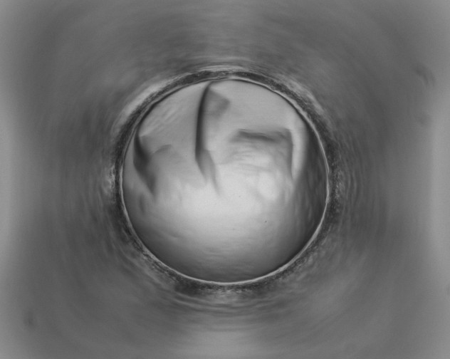 X0000113991167200910161640