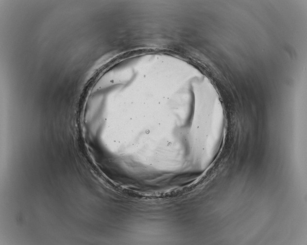 X0000113991168200910161640