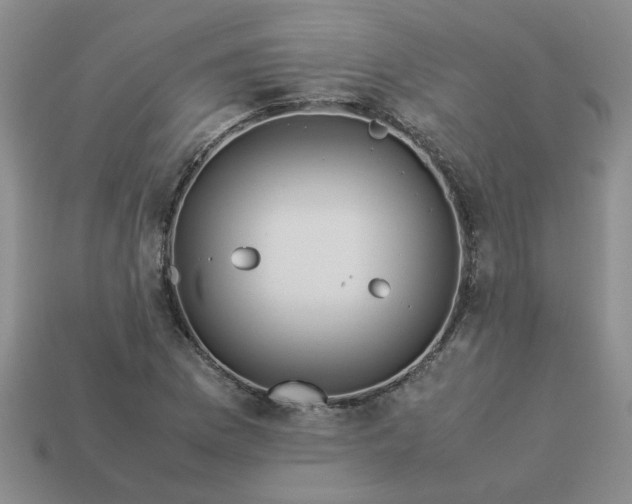 X0000113991169200910161640