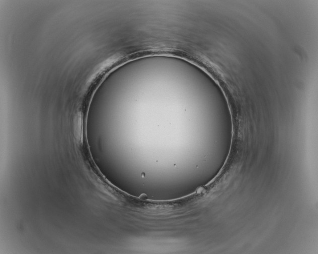 X0000113991171200910161640