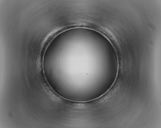 X0000113991172200910161640