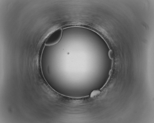 X0000113991173200910161640