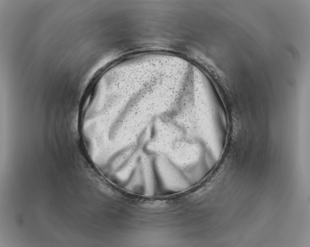 X0000113991174200910161640