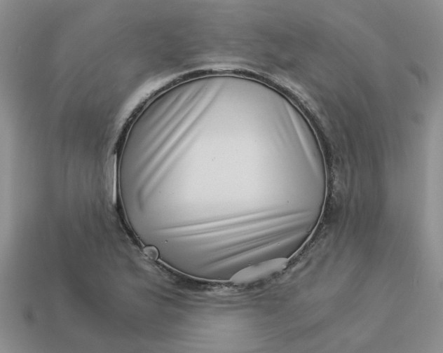 X0000113991175200910161640