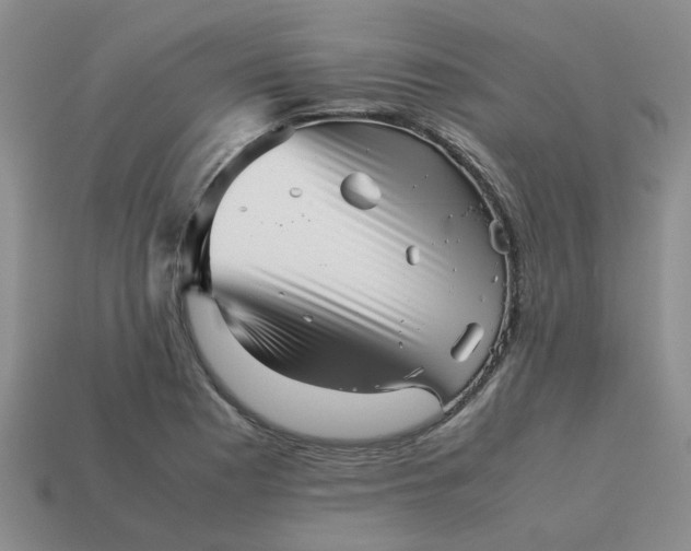 X0000113991177200910161640