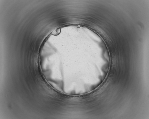 X0000113991178200910161640