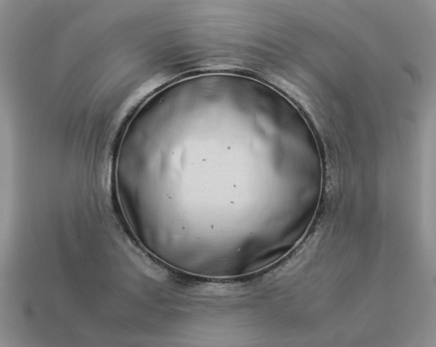 X0000113991179200910161640