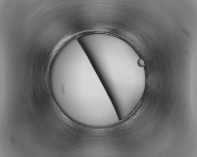 X0000113991180200910161640