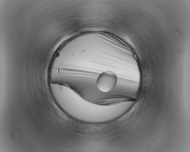 X0000113991181200910161640