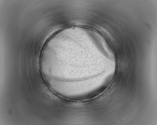 X0000113991182200910161640