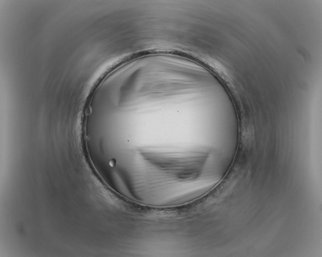 X0000113991183200910161639