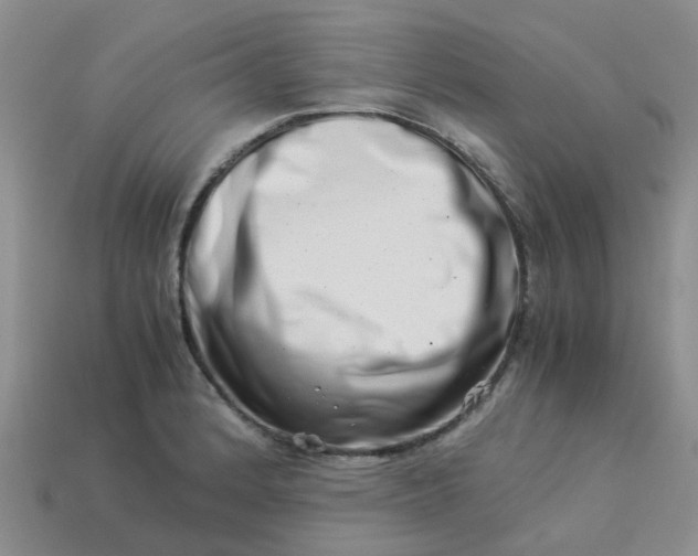 X0000113991184200910161639