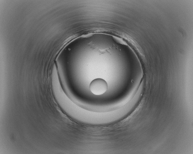 X0000113991185200910161639