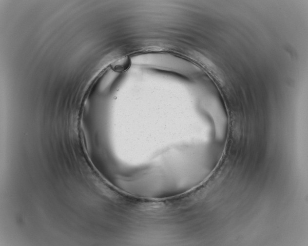 X0000113991186200910161639