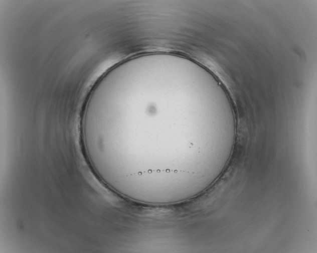 X0000113991187200910161639