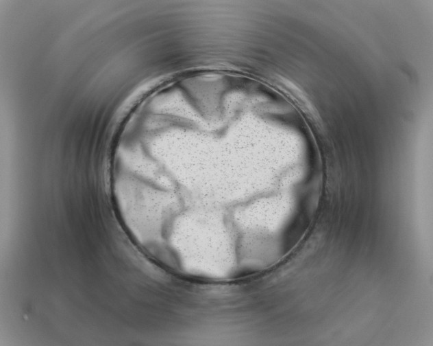 X0000113991188200910161639