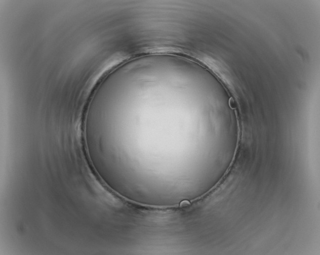 X0000113991189200910161639