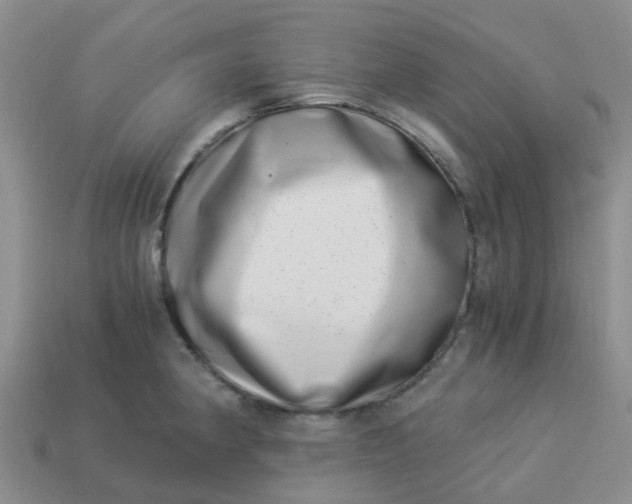 X0000113991190200910161639